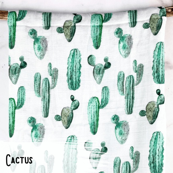 Cactus - Mousseline (1)